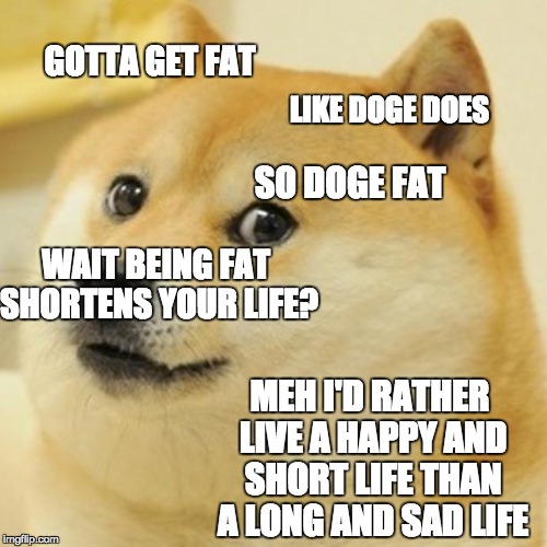 Doge Meme | GOTTA GET FAT; LIKE DOGE DOES; SO DOGE FAT; WAIT BEING FAT SHORTENS YOUR LIFE? MEH I'D RATHER LIVE A HAPPY AND SHORT LIFE THAN A LONG AND SAD LIFE | image tagged in memes,doge | made w/ Imgflip meme maker