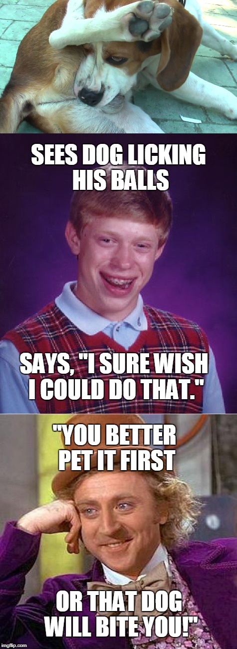 Don't set yourself up for this joke... | SEES DOG LICKING HIS BALLS; SAYS, "I SURE WISH I COULD DO THAT."; "YOU BETTER PET IT FIRST; OR THAT DOG WILL BITE YOU!" | image tagged in bad luck brian,creepy condescending wonka,dogs,memes | made w/ Imgflip meme maker