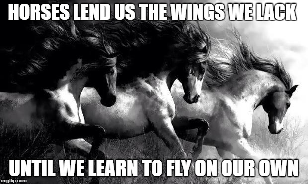 horses | HORSES LEND US THE WINGS WE LACK; UNTIL WE LEARN TO FLY ON OUR OWN | image tagged in horses | made w/ Imgflip meme maker