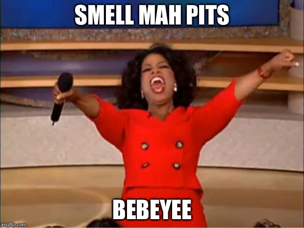 Oprah You Get A Meme | SMELL MAH PITS; BEBEYEE | image tagged in memes,oprah you get a | made w/ Imgflip meme maker