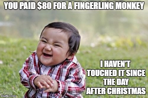 Evil Toddler Meme | YOU PAID $80 FOR A FINGERLING MONKEY; I HAVEN'T TOUCHED IT SINCE THE DAY AFTER CHRISTMAS | image tagged in memes,evil toddler | made w/ Imgflip meme maker