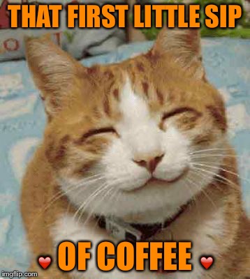 THAT FIRST LITTLE SIP; ❤️ OF COFFEE ❤️ | image tagged in cats,cat,cute cat,funny cats,smiling cat,funny cat memes | made w/ Imgflip meme maker