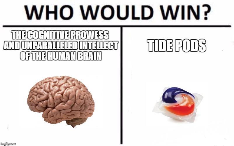 Who Would Win? | THE COGNITIVE PROWESS AND UNPARALLELED INTELLECT OF THE HUMAN BRAIN; TIDE PODS | image tagged in memes,who would win | made w/ Imgflip meme maker