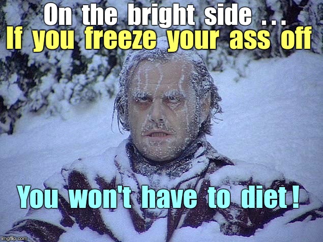 An image tagged freezing,memes,cold weather,blizzard.