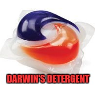 Tide Pod | DARWIN'S DETERGENT | image tagged in tide pod | made w/ Imgflip meme maker