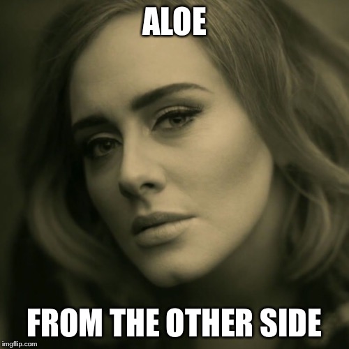 Adele | ALOE; FROM THE OTHER SIDE | image tagged in adele | made w/ Imgflip meme maker