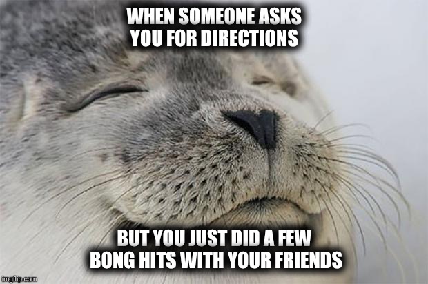 Satisfied Seal | WHEN SOMEONE ASKS YOU FOR DIRECTIONS; BUT YOU JUST DID A FEW BONG HITS WITH YOUR FRIENDS | image tagged in memes,satisfied seal | made w/ Imgflip meme maker