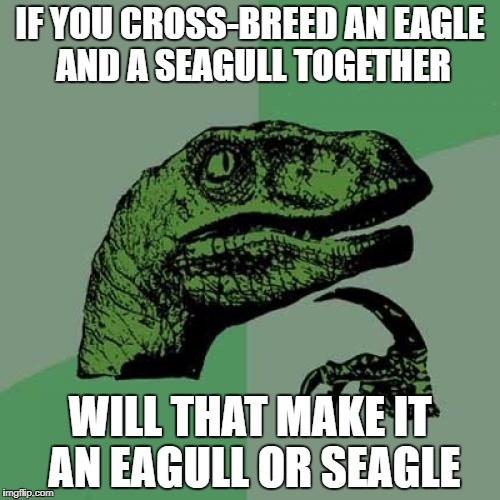 Philosoraptor | IF YOU CROSS-BREED AN EAGLE AND A SEAGULL TOGETHER; WILL THAT MAKE IT AN EAGULL OR SEAGLE | image tagged in memes,philosoraptor | made w/ Imgflip meme maker