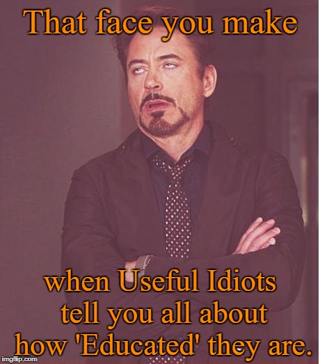 Face You Make Robert Downey Jr Meme | That face you make; when Useful Idiots tell you all about how 'Educated' they are. | image tagged in memes,face you make robert downey jr,liberal logic | made w/ Imgflip meme maker