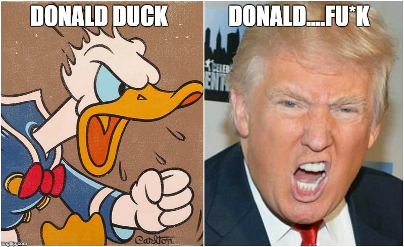 Donald | DONALD....FU*K; DONALD DUCK | image tagged in donald trump,donald duck | made w/ Imgflip meme maker