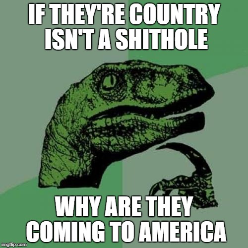 Philosoraptor Meme | IF THEY'RE COUNTRY ISN'T A SHITHOLE; WHY ARE THEY COMING TO AMERICA | image tagged in memes,philosoraptor | made w/ Imgflip meme maker