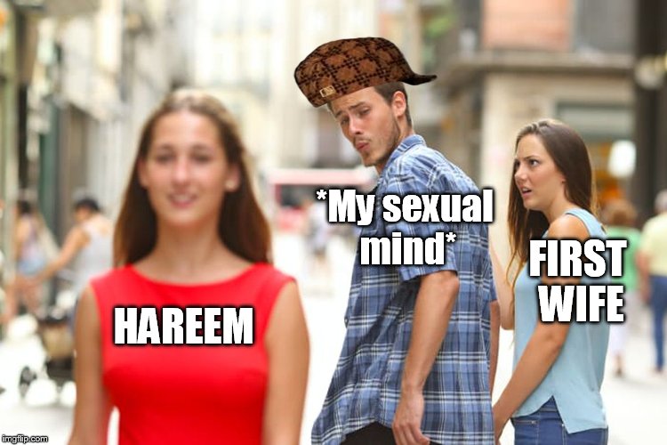 Distracted Boyfriend | *My sexual mind*; FIRST WIFE; HAREEM | image tagged in memes,distracted boyfriend,scumbag,girls | made w/ Imgflip meme maker