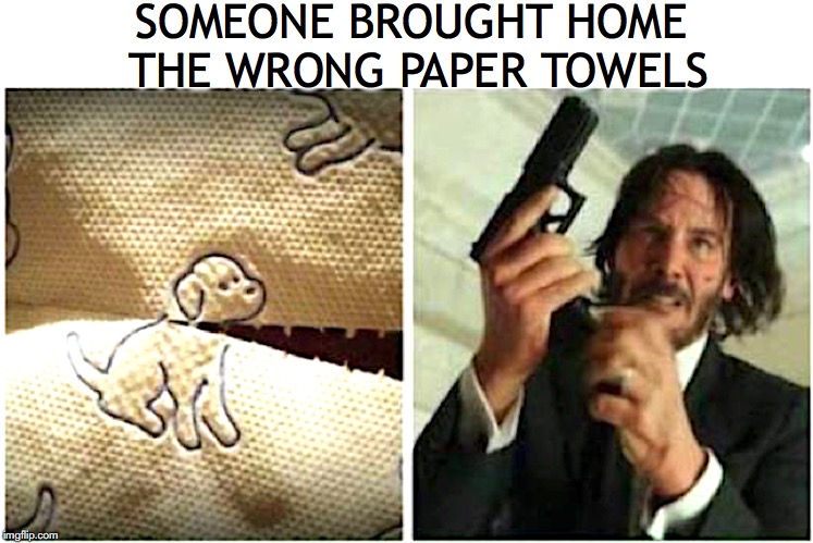 Dog-lover triggered | SOMEONE BROUGHT HOME THE WRONG PAPER TOWELS | image tagged in paper towels,john wick,puppy | made w/ Imgflip meme maker