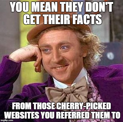 Creepy Condescending Wonka Meme | YOU MEAN THEY DON'T GET THEIR FACTS FROM THOSE CHERRY-PICKED WEBSITES YOU REFERRED THEM TO | image tagged in memes,creepy condescending wonka | made w/ Imgflip meme maker