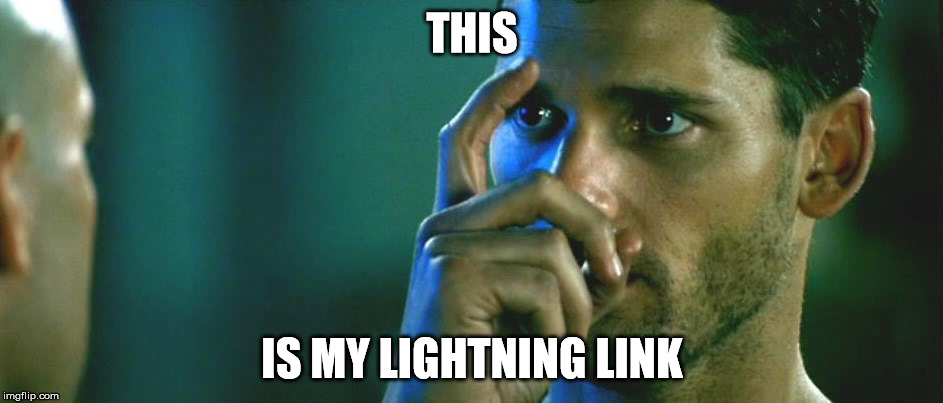This is my safety sir Black Hawk Down | THIS; IS MY LIGHTNING LINK | image tagged in this is my safety sir black hawk down | made w/ Imgflip meme maker