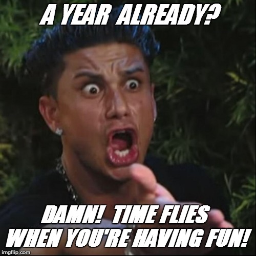 A YEAR  ALREADY? DAMN!  TIME FLIES WHEN YOU'RE HAVING FUN! | made w/ Imgflip meme maker