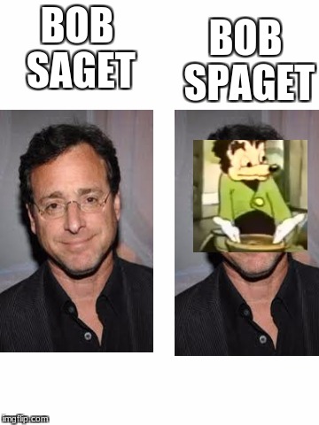 Blank White Template | BOB SPAGET; BOB SAGET | image tagged in blank white template | made w/ Imgflip meme maker
