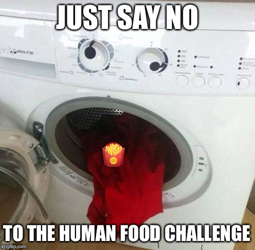 Just say no | JUST SAY NO; 🍟; TO THE HUMAN FOOD CHALLENGE | image tagged in tide pod,verb,usage,grammar,dishwasher,new hampshire | made w/ Imgflip meme maker
