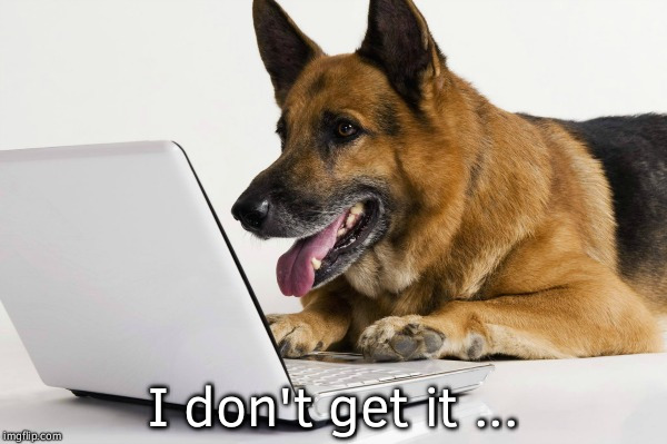 dog reading emails | I don't get it ... | image tagged in dog reading emails | made w/ Imgflip meme maker