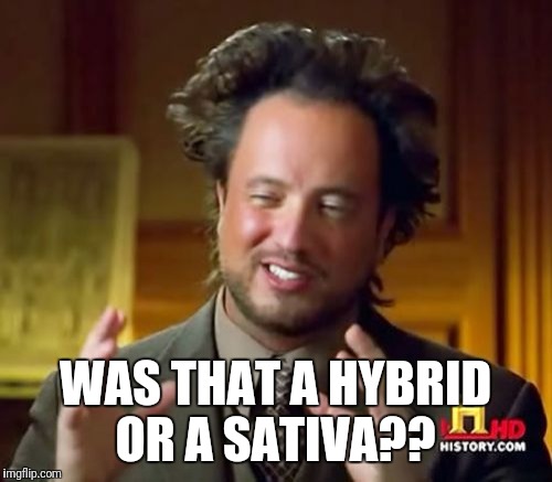 Ancient Aliens Meme |  WAS THAT A HYBRID OR A SATIVA?? | image tagged in memes,ancient aliens | made w/ Imgflip meme maker