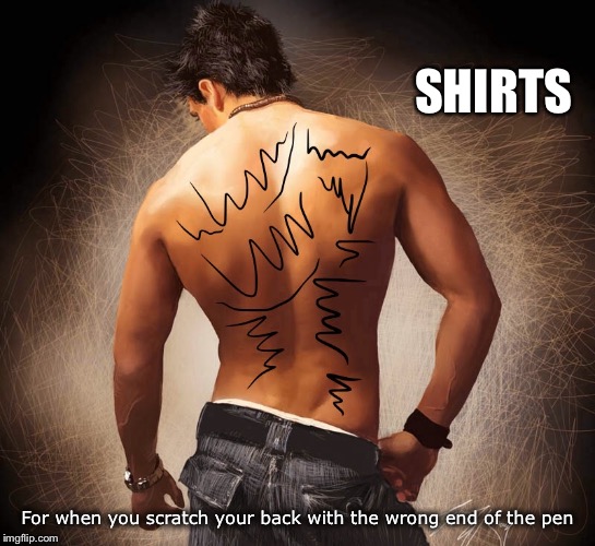 Shirts | SHIRTS; For when you scratch your back with the wrong end of the pen | image tagged in shirts,man,topless,stationary,papermate | made w/ Imgflip meme maker