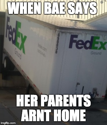 WHEN BAE SAYS; HER PARENTS ARNT HOME | image tagged in memes | made w/ Imgflip meme maker