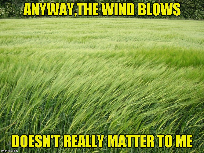 ANYWAY,THE WIND BLOWS DOESN'T REALLY MATTER TO ME | made w/ Imgflip meme maker