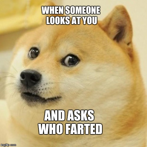 Doge Meme | WHEN SOMEONE LOOKS AT YOU; AND ASKS WHO FARTED | image tagged in memes,doge | made w/ Imgflip meme maker