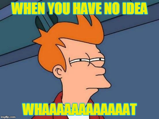 Futurama Fry Meme | WHEN YOU HAVE NO IDEA; WHAAAAAAAAAAAAT | image tagged in memes,futurama fry | made w/ Imgflip meme maker