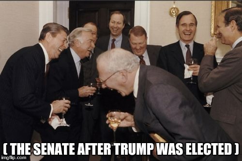 Laughing Men In Suits Meme | ( THE SENATE AFTER TRUMP WAS ELECTED ) | image tagged in memes,laughing men in suits | made w/ Imgflip meme maker