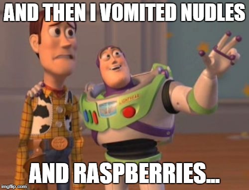 X, X Everywhere Meme | AND THEN I VOMITED NUDLES; AND RASPBERRIES... | image tagged in memes,x x everywhere | made w/ Imgflip meme maker
