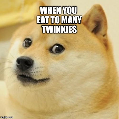Doge Meme | WHEN YOU EAT TO MANY TWINKIES | image tagged in memes,doge | made w/ Imgflip meme maker
