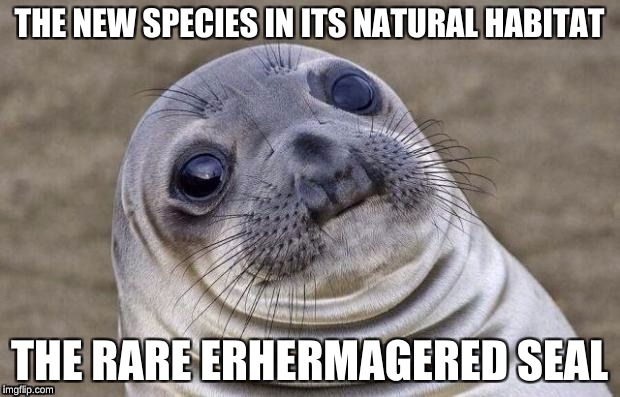 Erhermagered seal
 | THE NEW SPECIES IN ITS NATURAL HABITAT; THE RARE ERHERMAGERED SEAL | image tagged in memes,awkward moment sealion | made w/ Imgflip meme maker