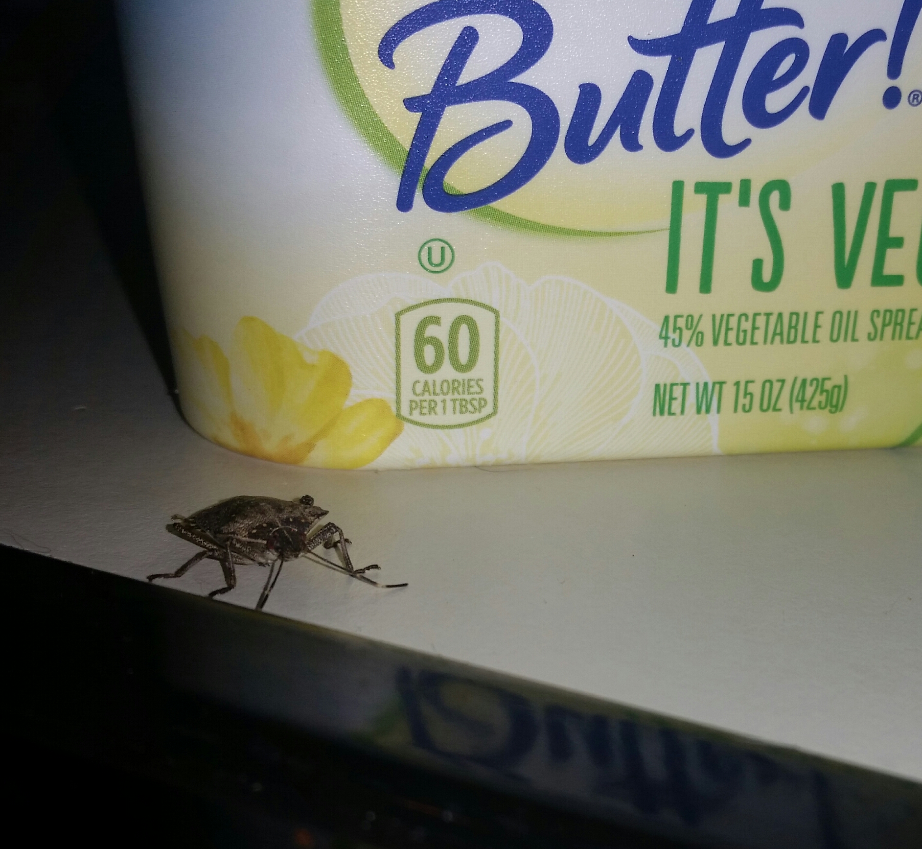 High Quality judgmental stink bug at breakfast Blank Meme Template