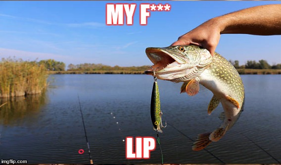 FISH LIP | MY F***; LIP | image tagged in fish lip | made w/ Imgflip meme maker