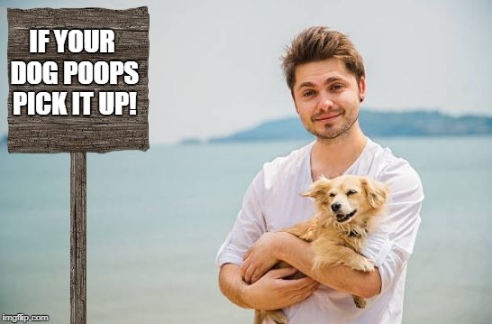 if your dog poops pick it up! | IF YOUR DOG POOPS PICK IT UP! | image tagged in dog | made w/ Imgflip meme maker