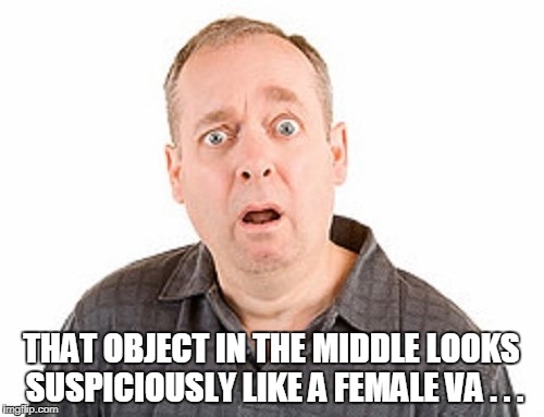 THAT OBJECT IN THE MIDDLE LOOKS SUSPICIOUSLY LIKE A FEMALE VA . . . | made w/ Imgflip meme maker