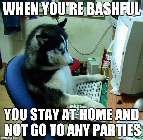 I Have No Idea What I Am Doing Meme | WHEN YOU'RE BASHFUL; YOU STAY AT HOME AND NOT GO TO ANY PARTIES | image tagged in memes,i have no idea what i am doing | made w/ Imgflip meme maker