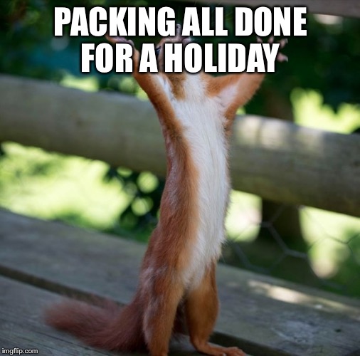Happy Holidays | PACKING ALL DONE FOR A HOLIDAY | image tagged in happy holidays | made w/ Imgflip meme maker