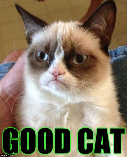 Grumpy Cat Meme | GOOD CAT | image tagged in memes,grumpy cat | made w/ Imgflip meme maker