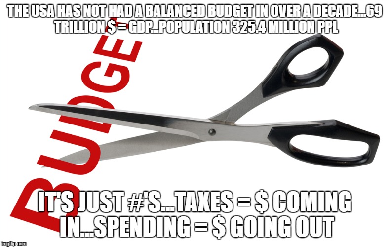 budget cut | THE USA HAS NOT HAD A BALANCED BUDGET IN OVER A DECADE...69 TRILLION $ = GDP...POPULATION 325.4 MILLION PPL; IT'S JUST #'S...TAXES = $ COMING IN...SPENDING = $ GOING OUT | image tagged in budget cut | made w/ Imgflip meme maker