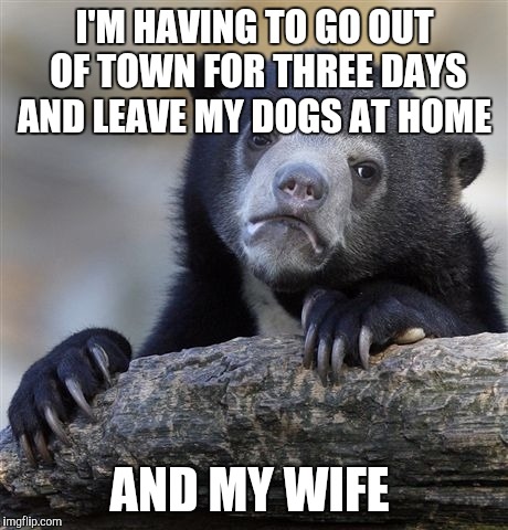 Traveling to NJ to see my nephew graduate from Coast Guard boot camp.  Missing my dogs... Oh, and wifey :-)  | I'M HAVING TO GO OUT OF TOWN FOR THREE DAYS AND LEAVE MY DOGS AT HOME; AND MY WIFE | image tagged in memes,confession bear,jbmemegeek,dogs | made w/ Imgflip meme maker