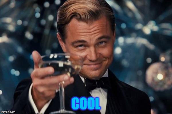 Leonardo Dicaprio Cheers Meme | COOL | image tagged in memes,leonardo dicaprio cheers | made w/ Imgflip meme maker