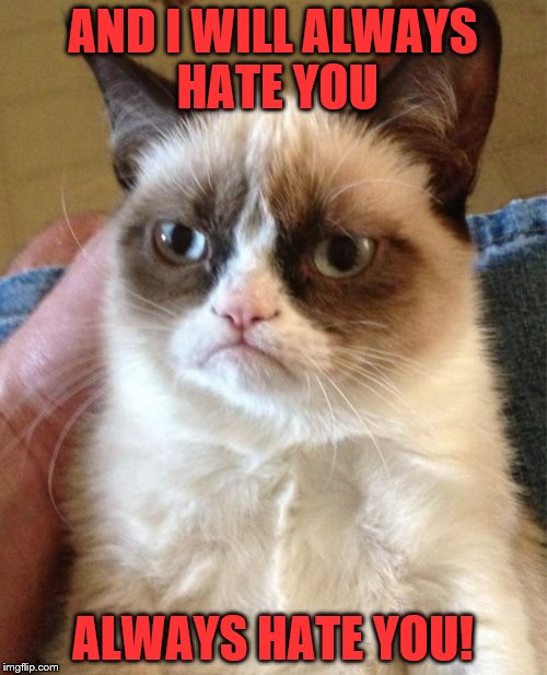 Grumpy Cat Meme | AND I WILL ALWAYS HATE YOU ALWAYS HATE YOU! | image tagged in memes,grumpy cat | made w/ Imgflip meme maker