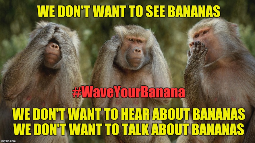 Stupid Monkeys | WE DON'T WANT TO SEE BANANAS; #WaveYourBanana; WE DON'T WANT TO HEAR ABOUT BANANAS; WE DON'T WANT TO TALK ABOUT BANANAS | image tagged in banana | made w/ Imgflip meme maker