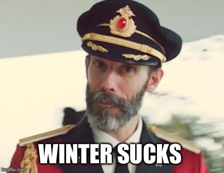 Captain Obvious | WINTER SUCKS | image tagged in captain obvious | made w/ Imgflip meme maker