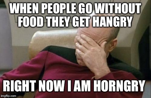 Captain Picard Facepalm | WHEN PEOPLE GO WITHOUT FOOD THEY GET HANGRY; RIGHT NOW I AM HORNGRY | image tagged in memes,captain picard facepalm | made w/ Imgflip meme maker
