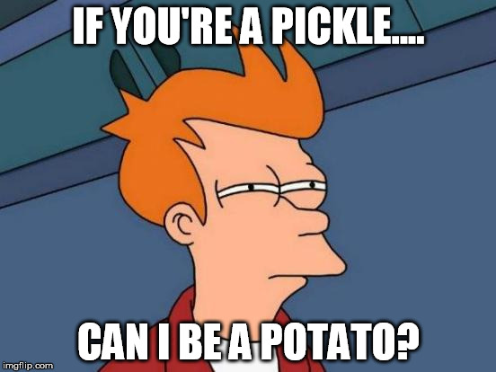 Futurama Fry Meme | IF YOU'RE A PICKLE.... CAN I BE A POTATO? | image tagged in memes,futurama fry | made w/ Imgflip meme maker