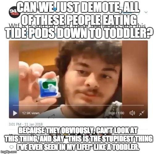 People who eat tide pods are toddlers not teens or adults! | CAN WE JUST DEMOTE, ALL OF THESE PEOPLE EATING TIDE PODS DOWN TO TODDLER? BECAUSE THEY OBVIOUSLY, CAN'T LOOK AT THIS THING, AND SAY "THIS IS THE STUPIDEST THING I'VE EVER SEEN IN MY LIFE!" LIKE A TODDLER. | image tagged in tide pods,tide pod challenge,memes,funny,stupid | made w/ Imgflip meme maker