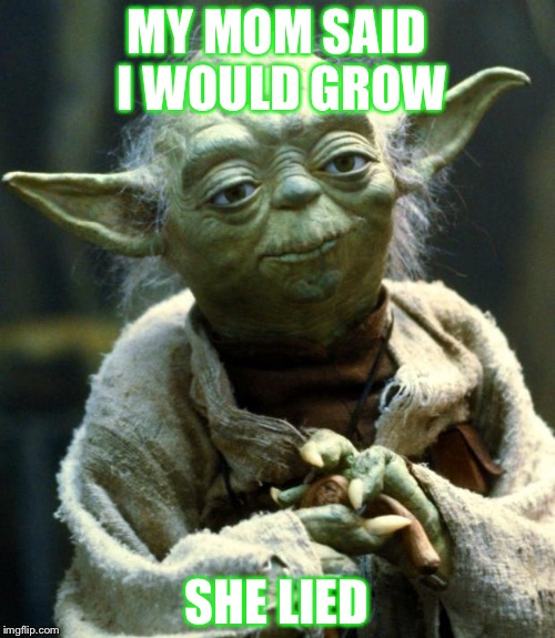Star Wars Yoda Meme | MY MOM SAID I WOULD GROW; SHE LIED | image tagged in memes,star wars yoda | made w/ Imgflip meme maker
